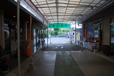 DSC_1776.JPG